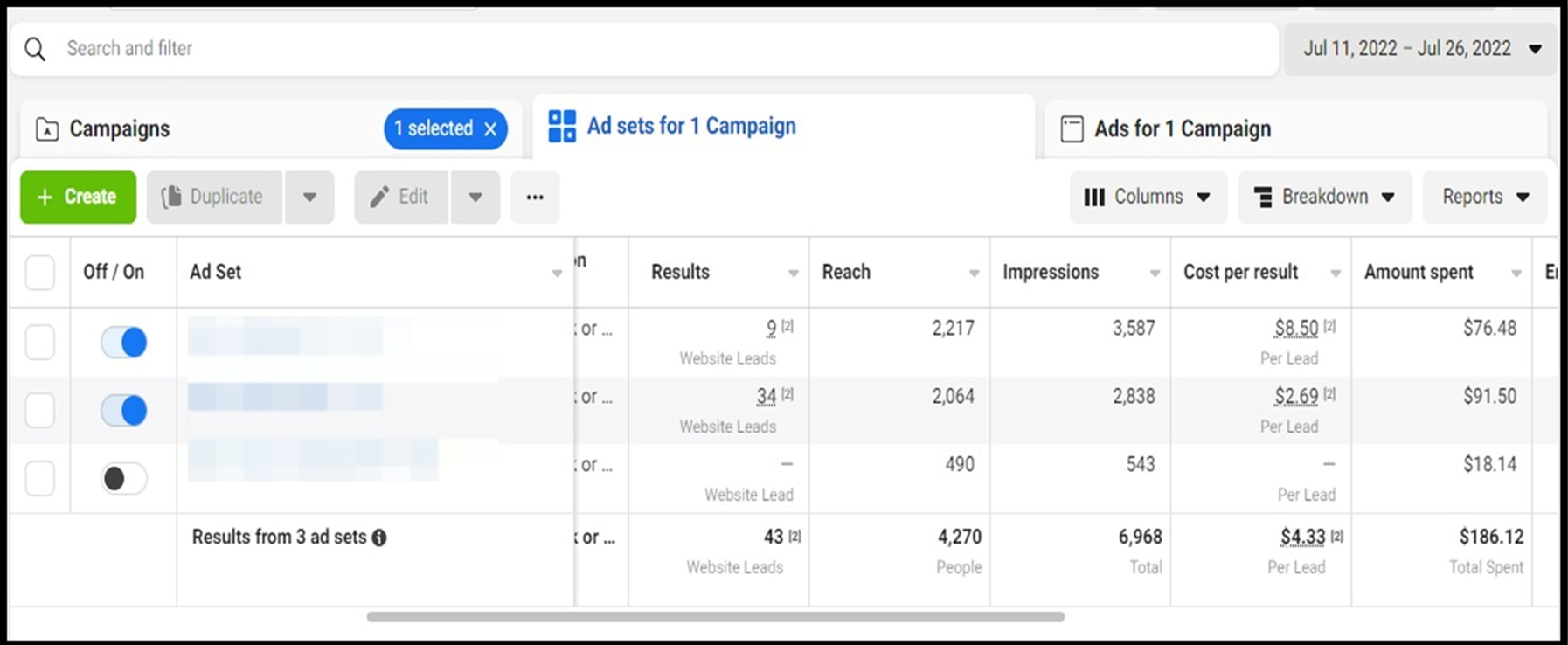 Meta Ads campaign result 4